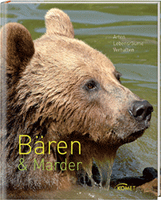 Bären und Marder