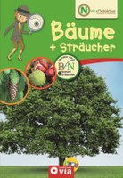 Bäume + Sträucher