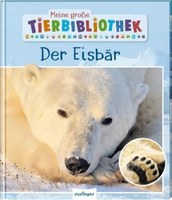 Der Eisbär