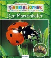 Der Marienkäfer