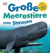 Grosse Meerestiere zum Staunen