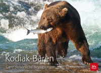 Kodiak-Bären