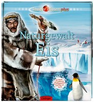 Naturgewalt Eis