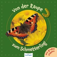 Von der Raupe zum Schmetterling